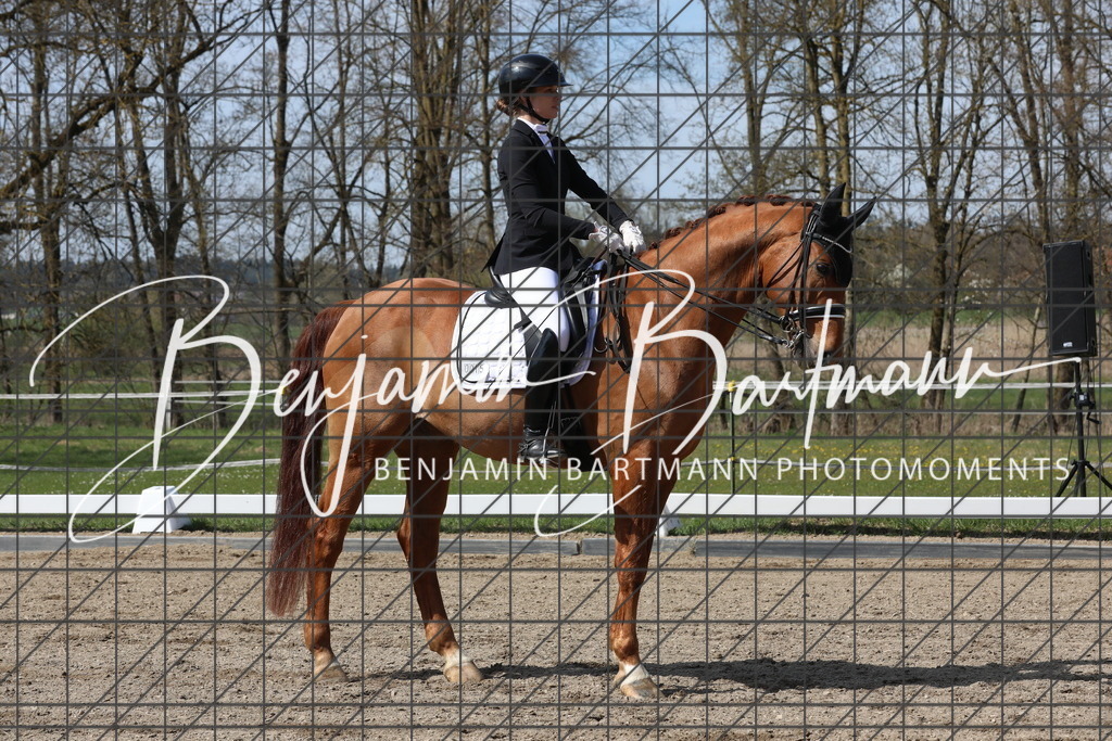 AZ2A5789 | Benjamin Bartmann Photomoments