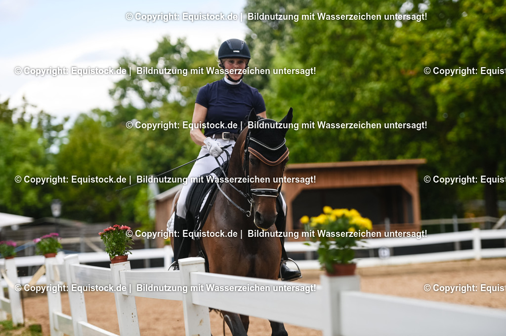 20230716_01_Dressurprüfung Kl.M_0433 | equistock