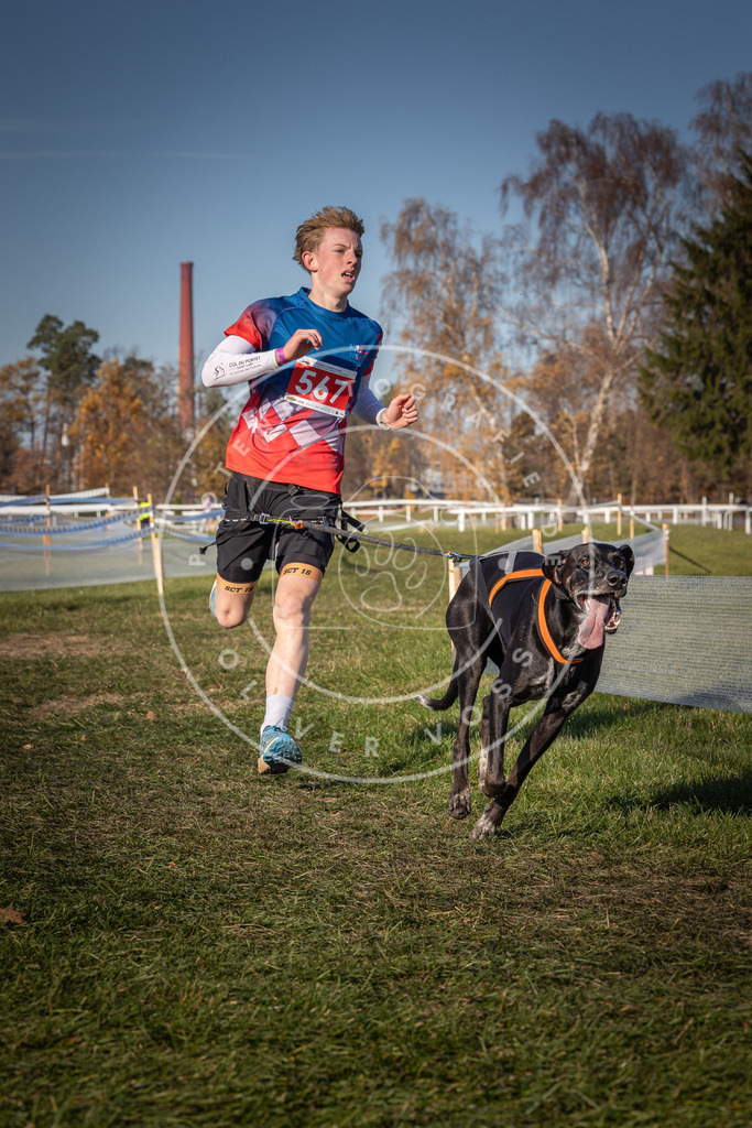 CaniXpix_0L8A8003 | Hundefotografie, Tierfotograf, Pfotenfotografie, Fotoshooting Hund, Hunde Portrait, Hundesport, Hundeportraits, Heideshooting, Hunde, Sportfotograf, Hundefotograf, Turnierhundsport, THS,  - Realisiert mit Pictrs.com