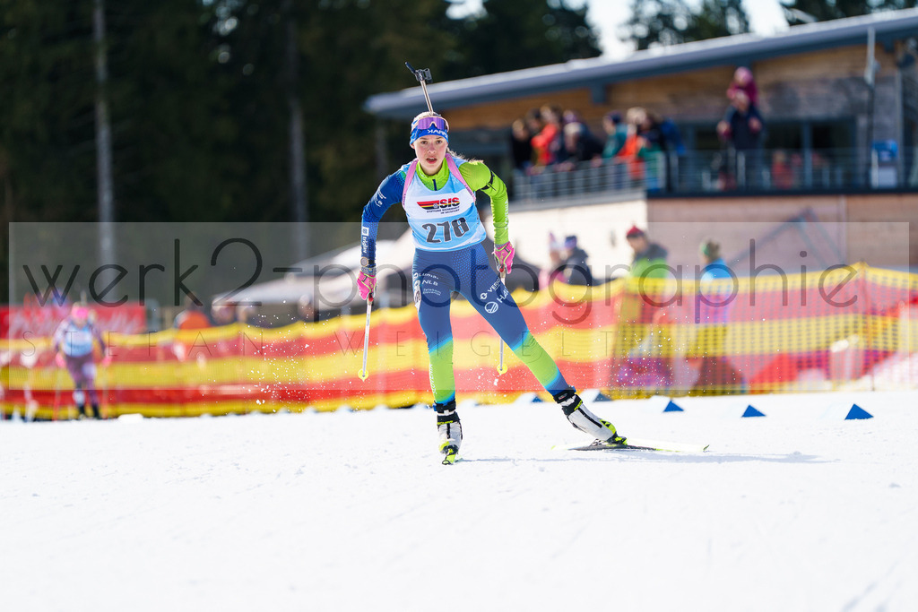 FESA Alpencup / DP Notschrei | Deutschland Pokal Finale im Schwarzwald NORDIC-CENTER Notschrei am 7. - 8. Februar 2026