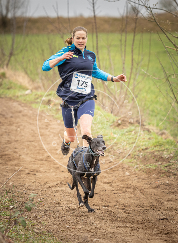 DV3A2003 | Hundefotografie, Tierfotograf, Pfotenfotografie, Fotoshooting Hund, Hunde Portrait, Hundesport, Hundeportraits, Heideshooting, Hunde, Sportfotograf, Hundefotograf, Turnierhundsport, THS,  - Realisiert mit Pictrs.com