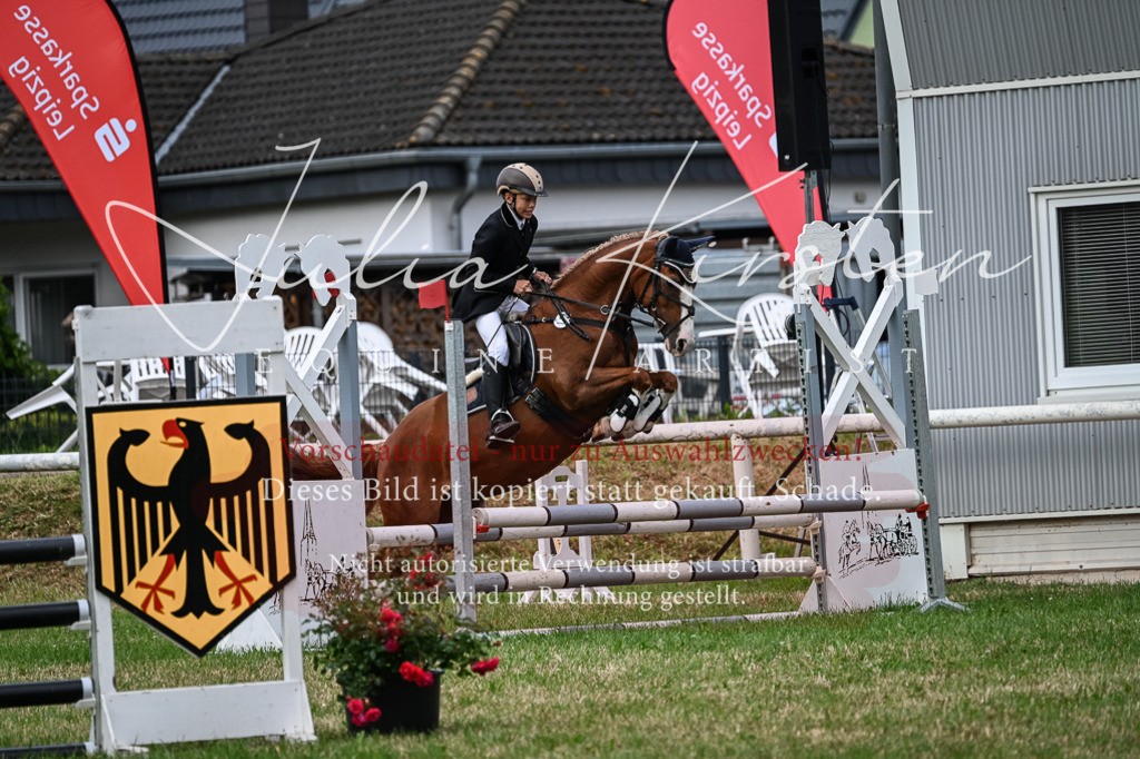 DSC_8642 | Pferde- und Turnierfotografie in Westsachsen. Pferdeportraits, Auftragszeichnungen und intuitive Kunst.