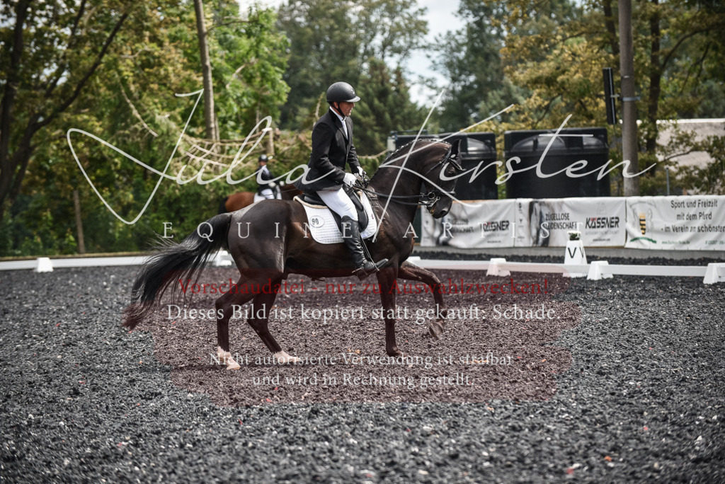 DSC_4950 | Pferde- und Turnierfotografie in Westsachsen. Pferdeportraits, Auftragszeichnungen und intuitive Kunst.