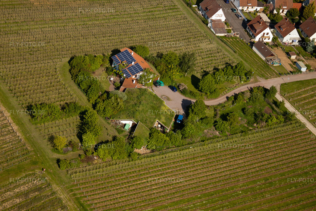 Luftbild: BiolandWeinbau Unterm Grassdach Weingut Marzolph im Ortsteil Wollmesheim in Landau im Bundesland Rheinland-Pfalz in Deutschland. Foto: IMG_27266.jpg vom 23.05.2010 durch Werner Riehm/FLY-FOTO.de