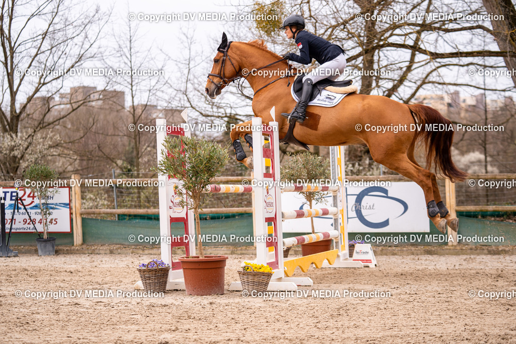 Kranichstein Tag 2-463 | dv-media-shop - Realisiert mit Pictrs.com