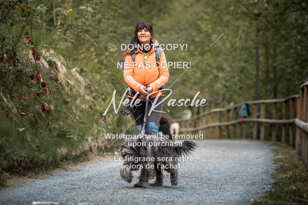 nelerasche_SaAbends_116 | nelerasche