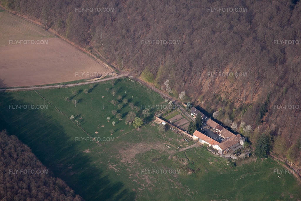 Aerial view: Villa Riessack in Niederbronn-les-Bains in the state Bas-Rhin, France.Photo: IMG_63709.jpg taken on 03/30/2014 by Werner Riehm/FLY-FOTO.comResolution of the original: 4752 x 3168 px