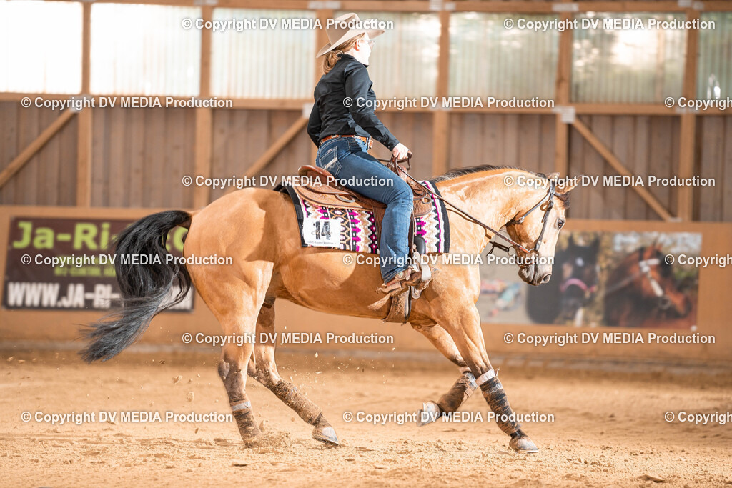 Losheim Tag 1-725 | dv-media-shop - Realisiert mit Pictrs.com