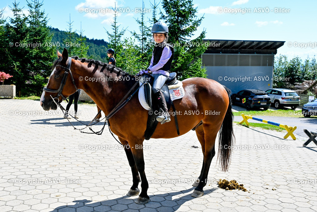 ASVÖ_ Reiten Bezirksmeisterschaft_ 24.08.2025-67 | 24.08.2025, AUT, ASVÖ, Reiten Bezirksmeisterschaft 2025Dressur und Springreiten©fodo.media / Harald Dostal - Realisiert mit Pictrs.com