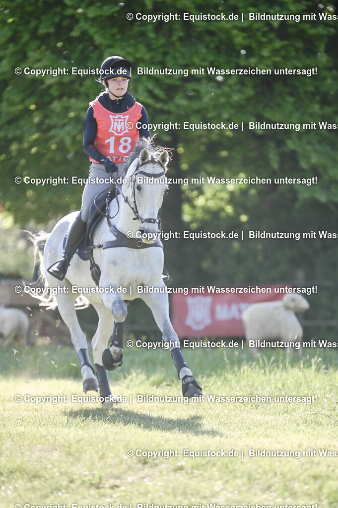 20250517_CCI2_Gelände_0472 | Foto: Thomas Hartig