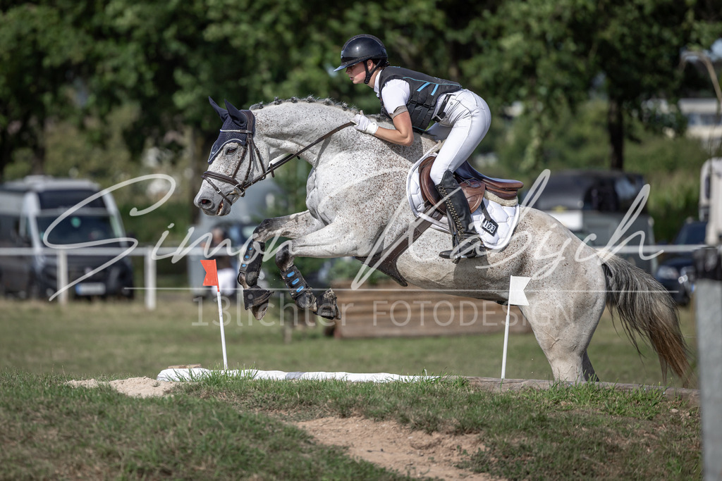 20250907-_3LI9372 | Tierfotografie Pferde, Hunde, Katzen, Haustiere.
Turnierfotografie Reitturniere, Reiten, Springreiten, Dressur in Hanau, dem Main-Kinzig-Kreis und dem Rhein-Main- Gebiet um Frankfurt