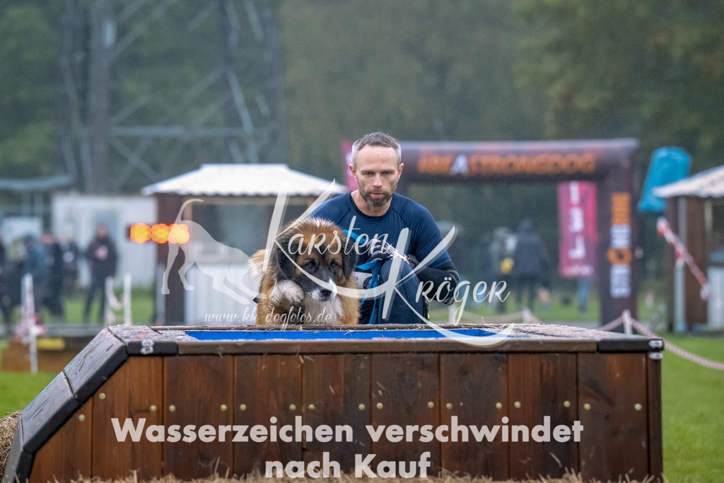 1015--2 | kk-dogfotos