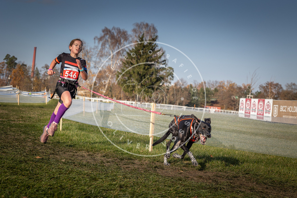 CaniXpix_0L8A9188 | Hundefotografie, Tierfotograf, Pfotenfotografie, Fotoshooting Hund, Hunde Portrait, Hundesport, Hundeportraits, Heideshooting, Hunde, Sportfotograf, Hundefotograf, Turnierhundsport, THS,  - Realisiert mit Pictrs.com