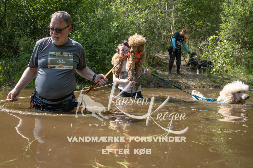 1515DKK990784 | kk-dogfotos