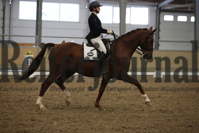 Waghäusel-Wiesental_2024_Prfg.Nr.08_1.WP_U25_Miriam Schwärzler_Daily Pleasure 26 (3) | Alle Fotos der Reiterjournal Fotografin Doris Matthaes im Reiterjournal Online-Fotoshop. - Realisiert mit Pictrs.com