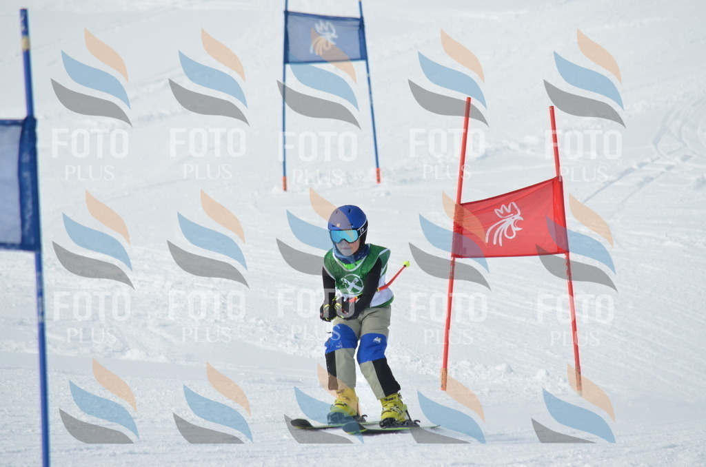 D8637 | holidayphoto