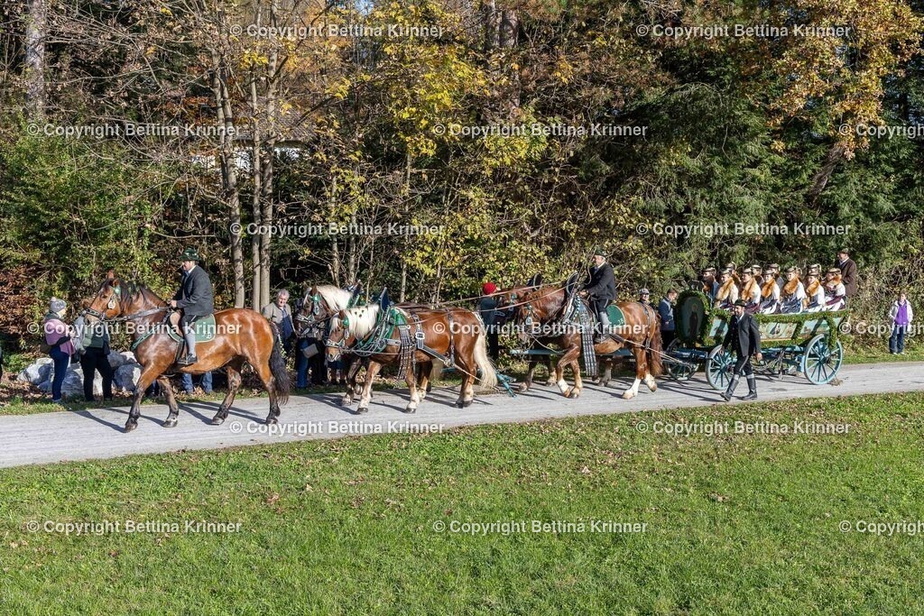 LBT24-692 | foto-bettina-krinner - Realisiert mit Pictrs.com