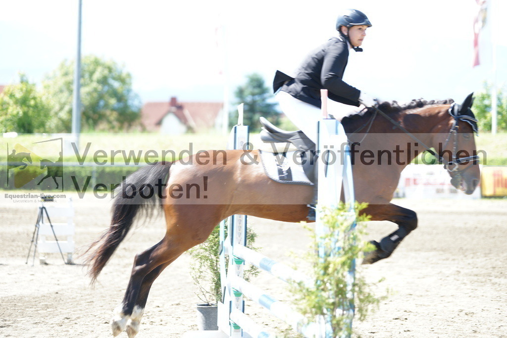 DSC05978 | equestrian-live-com
