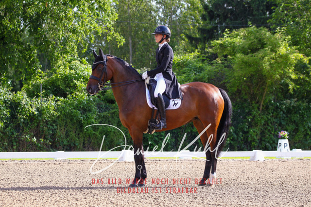 DKP41557 | Deine Turnierfotos vom Reitturnier online kaufen: Dressur, Springen & Siegerehrung. Professionelle Pferdefotografie aus dem Rheinland – als Download & Print.Alternative: Turnierfotograf für den Pferdesport: Finde deine Fotos von Dressur- und Springturnier