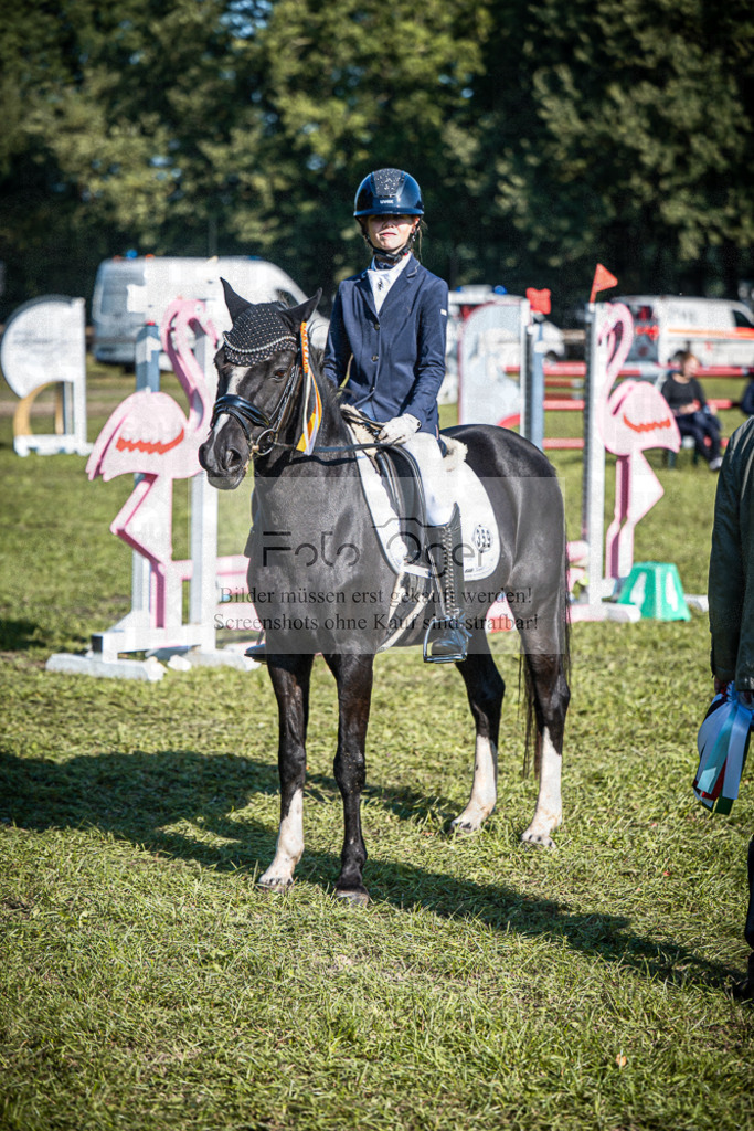 Z63_0013 | Entdecke hochwertige Reitturnierfotos von Foto Oger. Professionell, emotional und authentisch – jetzt Lieblingsmomente im Shop bestellen.Deutschlandweite Turnierfotografie. - Realisiert mit Pictrs.com