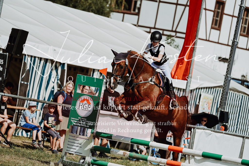 DSC_9467 | Pferde- und Turnierfotografie in Westsachsen. Pferdeportraits, Auftragszeichnungen und intuitive Kunst.