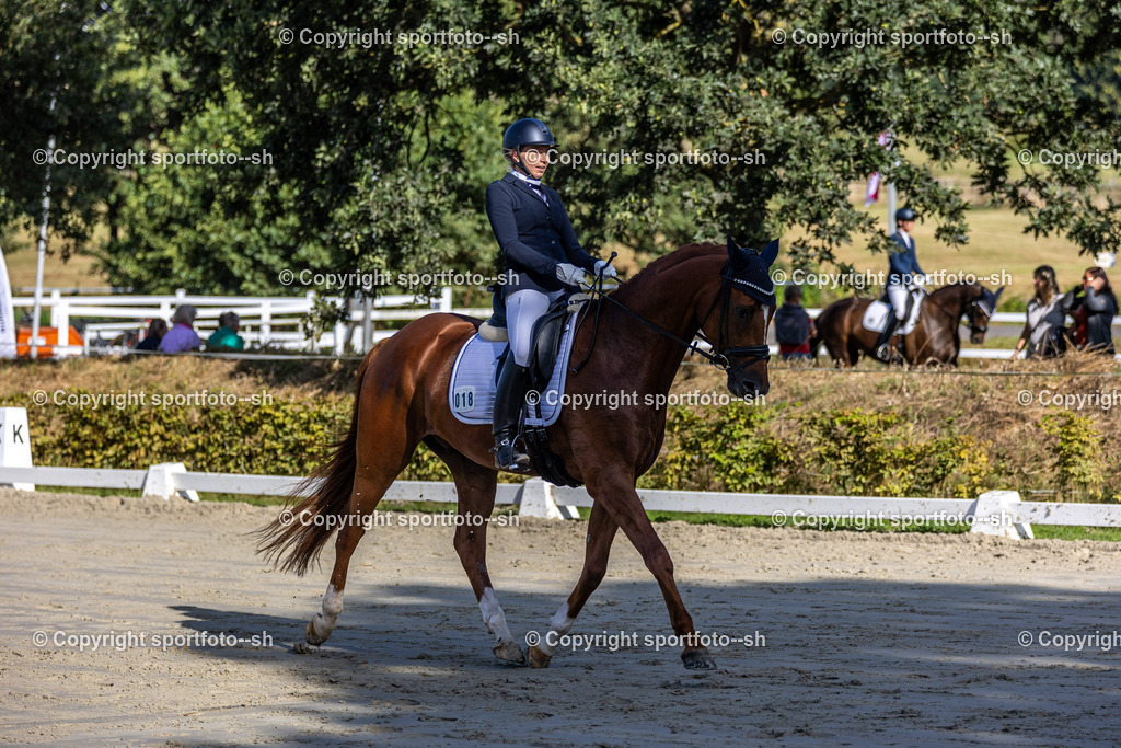 240901-VW-IS6A4875 | Sportfoto SH - Realisiert mit Pictrs.com