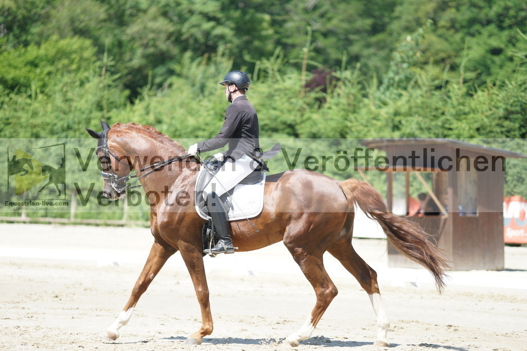 DSC03191 | equestrian-live-com