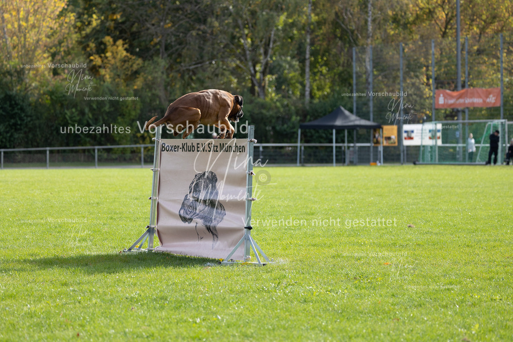 _16A6604 | Einzigartige Fotos von Hunden & Menschen –Actionfotos, Portraits, Vereinsaufnahmen & Paarshootings – authentisch, lebendig & mit Herz.