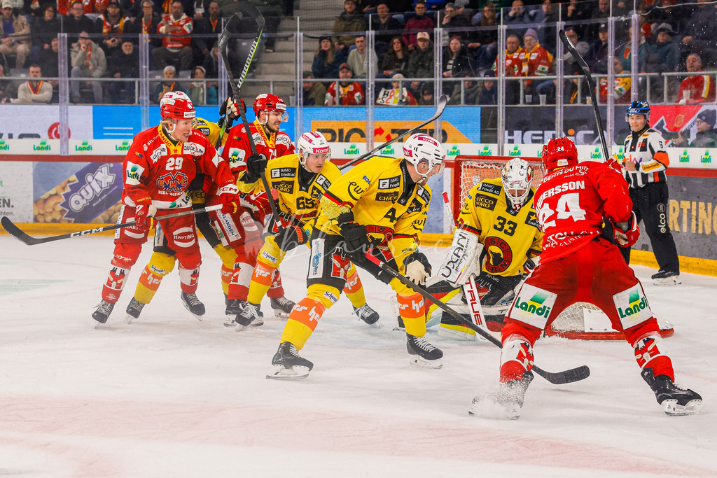 EHCB vs SCB 20260110_wb-3443 | Sportbilder, Sportfotograf, Hochzeits- und Eventfotografin, Flugshows, Portraits und Tiershooting, Aviation, Downhill, Nationalleague, Swissleague, International