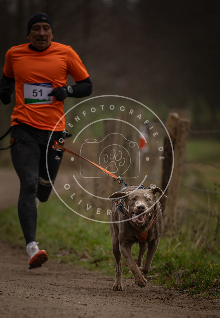 Pfotenfotografie_DV3A2862 | Hundefotografie, Tierfotograf, Pfotenfotografie, Fotoshooting Hund, Hunde Portrait, Hundesport, Hundeportraits, Heideshooting, Hunde, Sportfotograf, Hundefotograf, Turnierhundsport, THS,  - Realisiert mit Pictrs.com