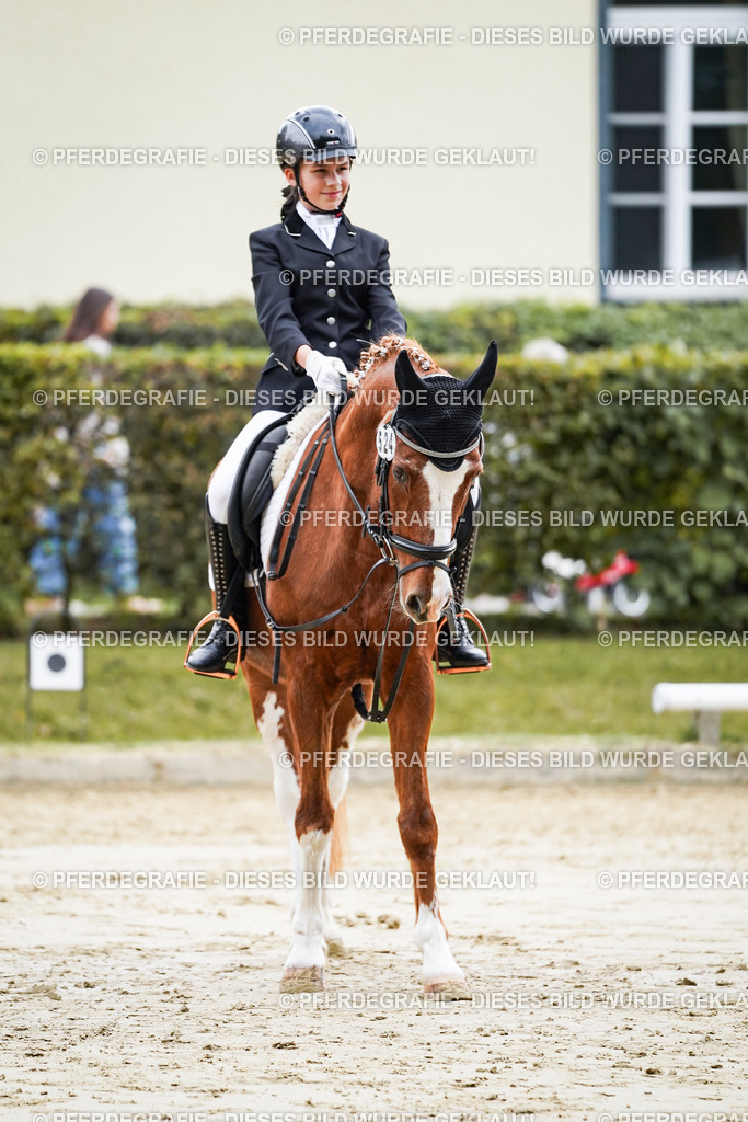 DSC05699 | Pferdegrafie