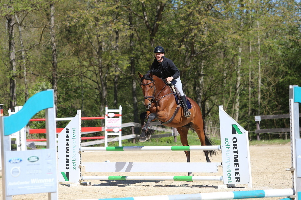 DL2Q3128 | Willkommen bei Brunnmayr - Design & Fotografie – Ihrem Spezialisten für Reitturniere und Pferdeveranstaltungen in Oberösterreich, Salzburg und Bayern! Seit über 17 Jahren sind wir leidenschaftlich dabei.