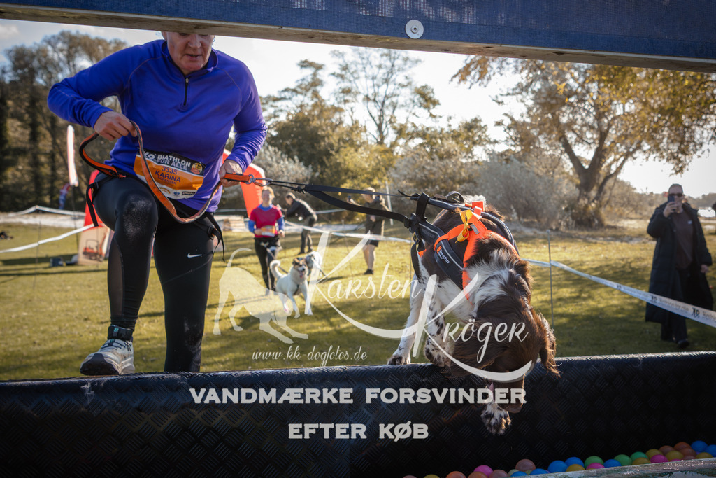 1207_ZZ94647 | kk-dogfotos