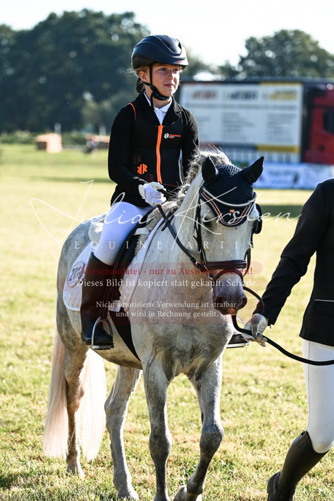 DSC_0545 | Pferde- und Turnierfotografie in Westsachsen. Pferdeportraits, Auftragszeichnungen und intuitive Kunst.