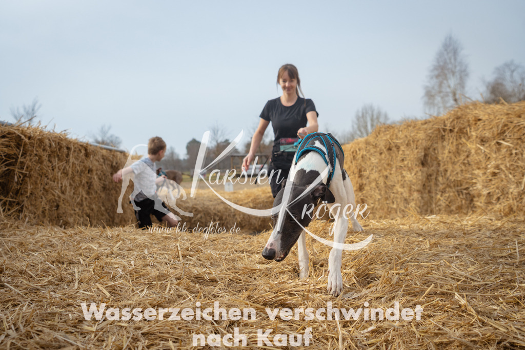 1016_ZZ93372 | kk-dogfotos