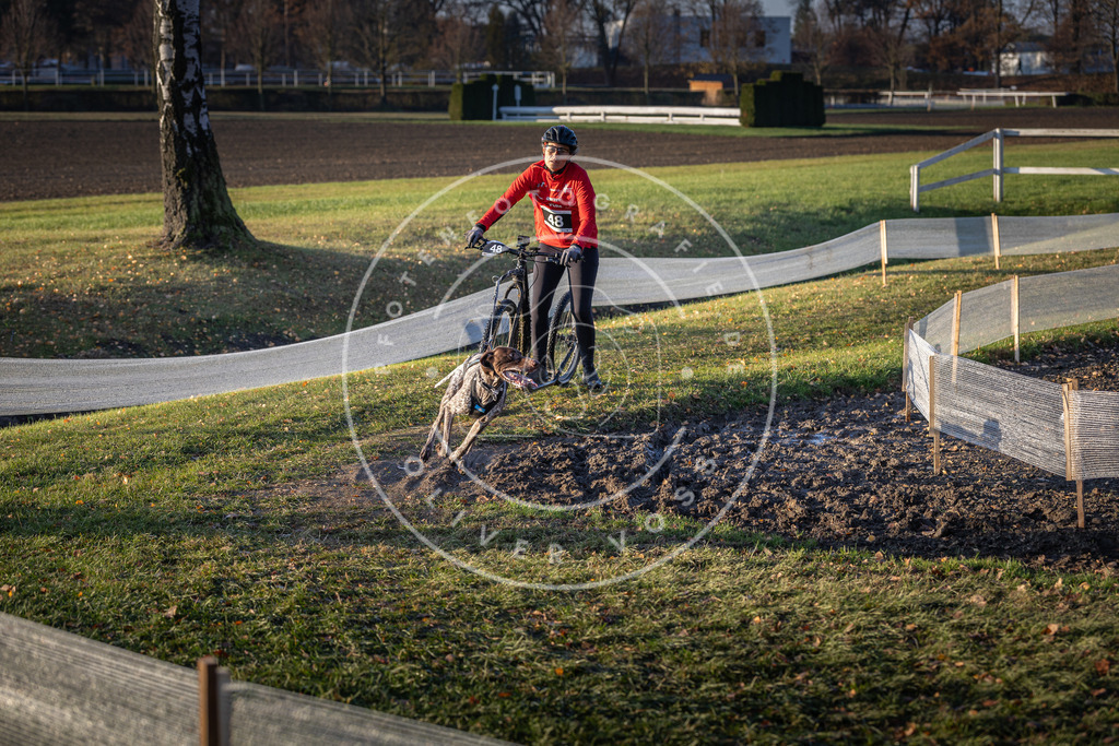 CaniXpix_DV3A0490 | Hundefotografie, Tierfotograf, Pfotenfotografie, Fotoshooting Hund, Hunde Portrait, Hundesport, Hundeportraits, Heideshooting, Hunde, Sportfotograf, Hundefotograf, Turnierhundsport, THS,  - Realisiert mit Pictrs.com