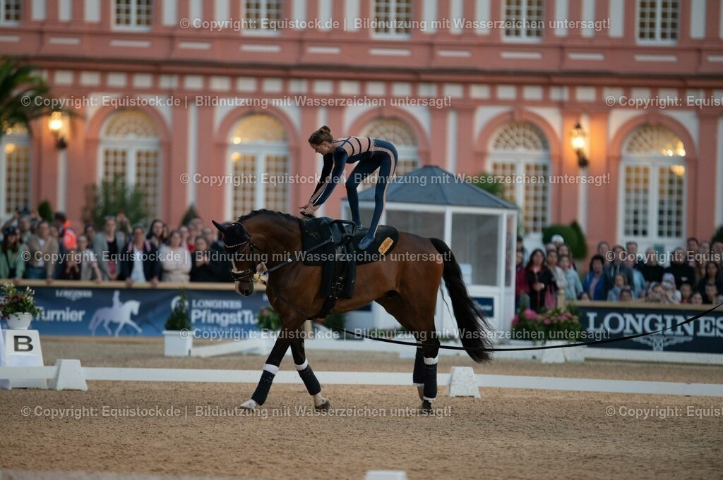 20230527_Voltigieren_NASPA_Flutlicht_0314 | equistock