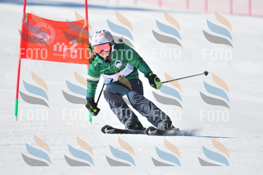 C3055 | holidayphoto