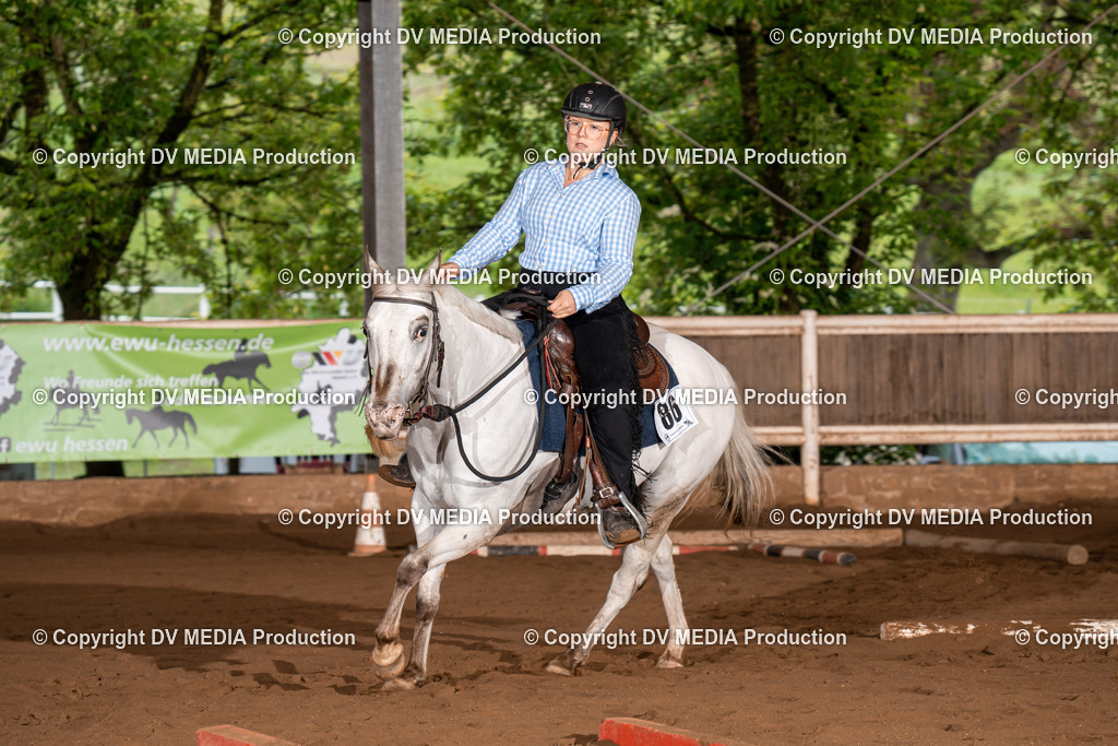 Erbach Tag 3-295 | dv-media-shop - Realisiert mit Pictrs.com