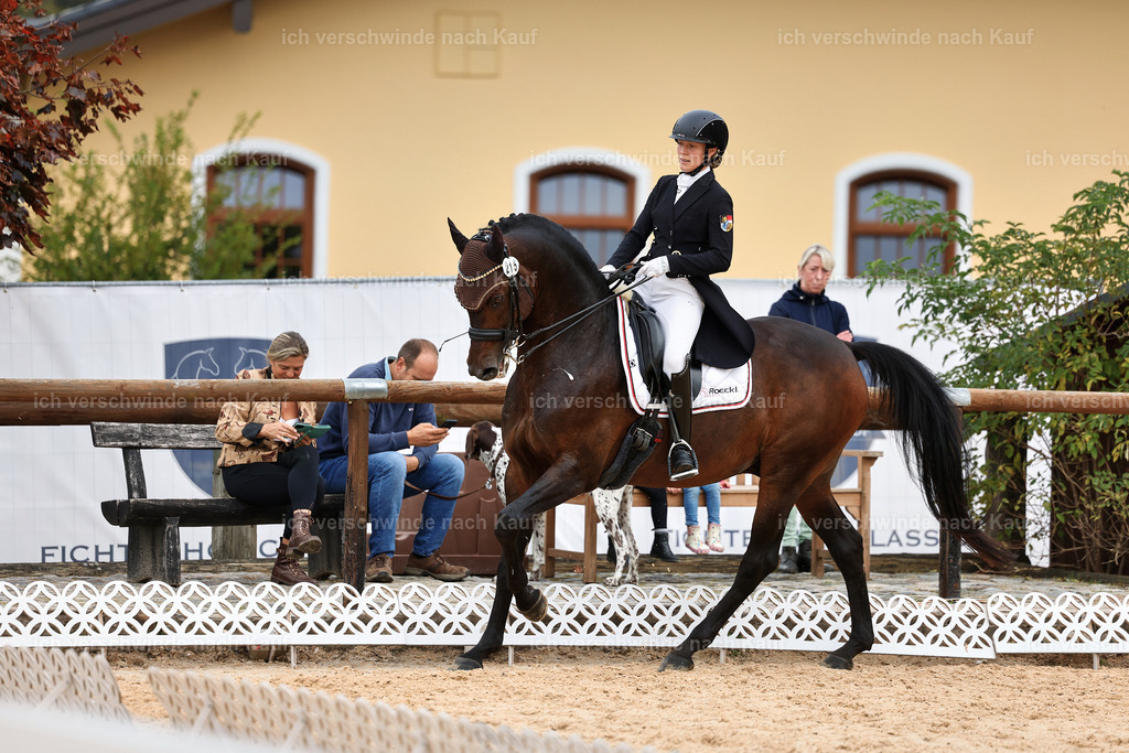 11-215-Dressur S___-StoibPH-1004 | working equitationturnier fotograf videograf stoibphotography marixx film working equitation deutschland reitsport turnierfotografie eventfotografie equestrian events
