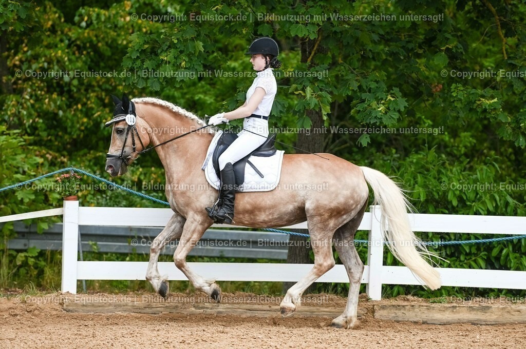 20230715_05_Dressurprüfung Kl.A++_0102 | equistock