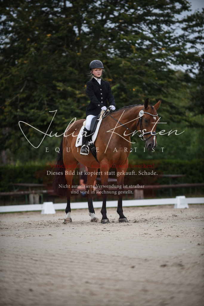 DSC_8038 | Pferde- und Turnierfotografie in Westsachsen. Pferdeportraits, Auftragszeichnungen und intuitive Kunst.