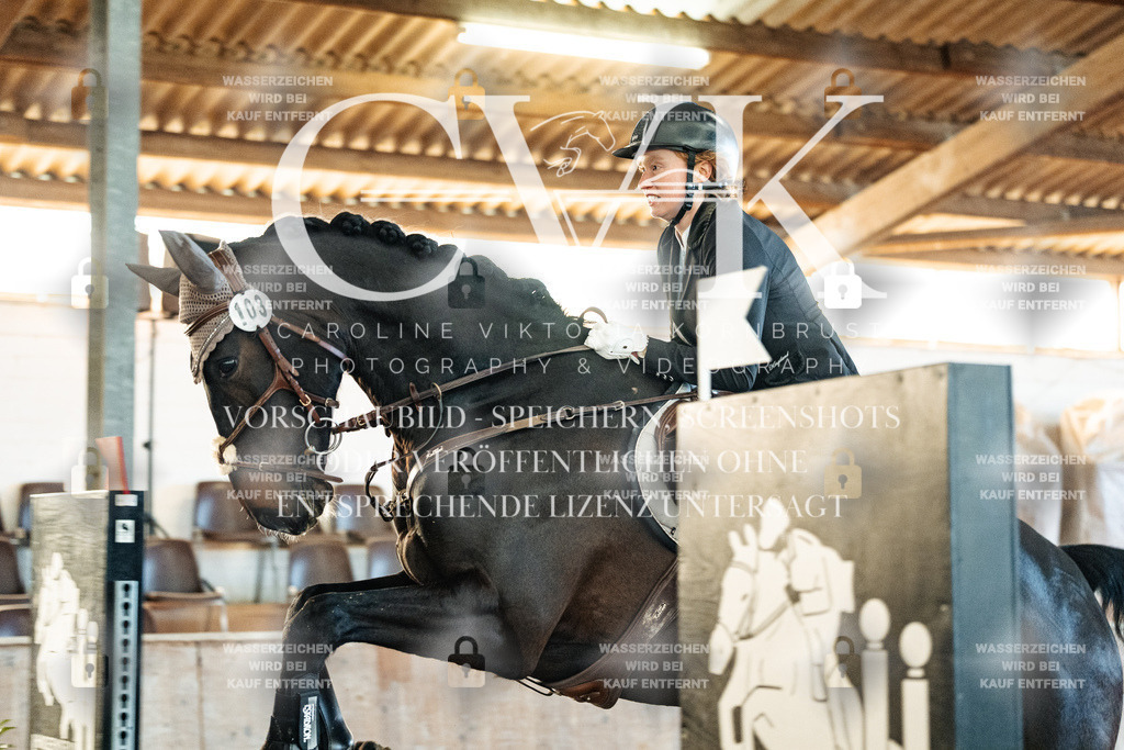 CK903877 | Turnierfotografie Pferdefotografie Trier Rheinland-Pfalz Pferdesport Reitsport Tierfotografie Sportfotografie Pferdevideo Pferdevideografie Equestrianvideography equestrianphotography  - Realized with Pictrs.com
