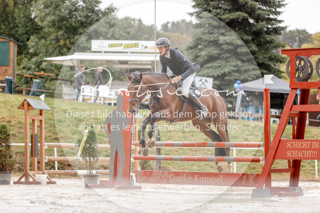 3I6A5663 | Stimmungsvolle Portraits und Reitsportfotografie im Ruhrgebiet und im Münsterland.

Pferdefotografie, Hundefotografie, Tierfotografie, Reportagen, Portraits von Tier und Mensch, Turnierfotografie in Bochum, Recklinghausen, Marl, Haltern am See, Dülmen.. - Realisiert mit Pictrs.com