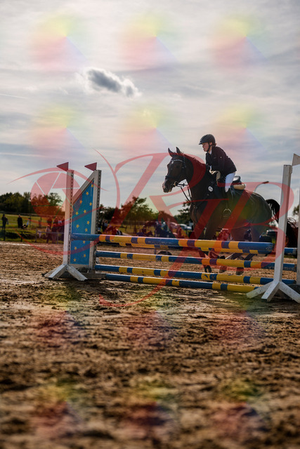 2026_10_03_Siefer-Hof_155929_Z63_11232489 | Professionelle Reitsport-, Turnier- und Eventfotografie von Robert Broda. Galerien mit ausgewählten und bearbeiteten Bildern direkt online ansehen und bestellen.