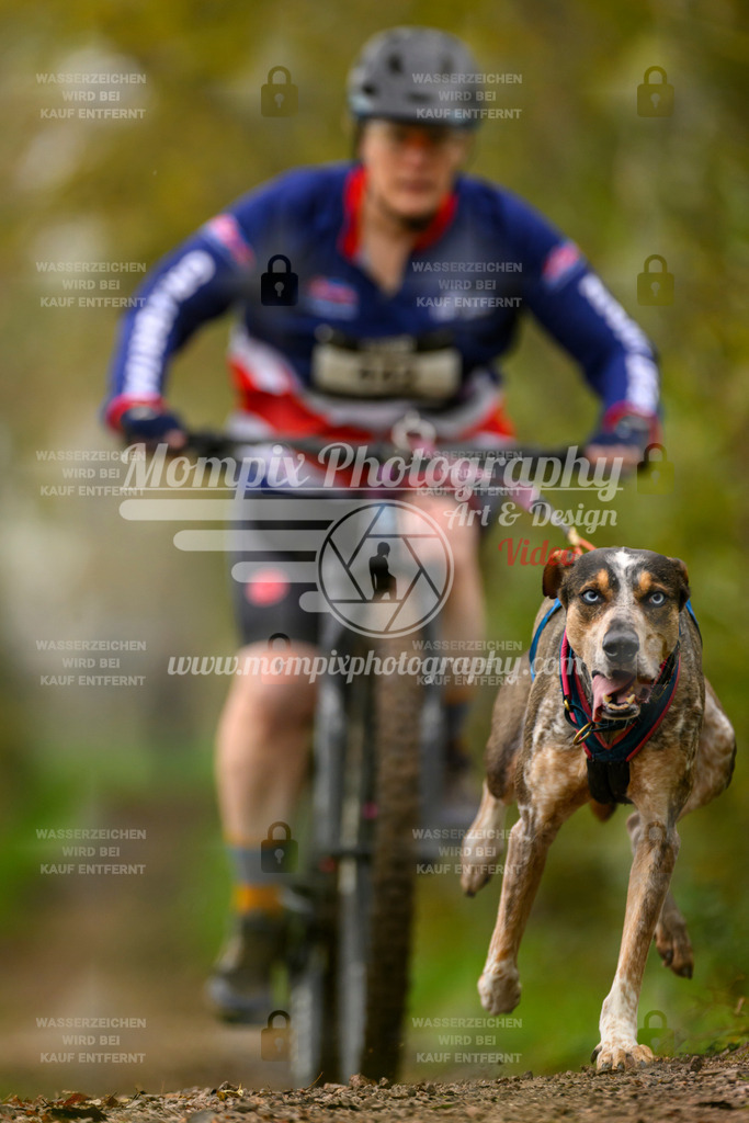 MompixPhotography_20TSB_E6_Bike-157 | PayLife