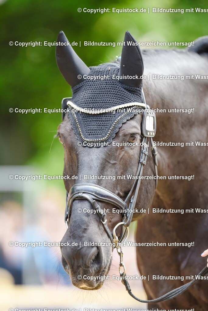 20250608_CVI-Masterclass_1031 | Foto: Thomas Hartig