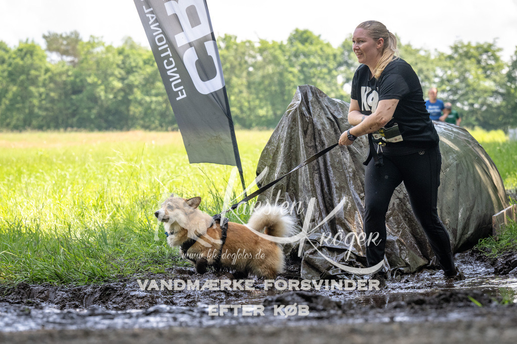 1201_ZZ91007 | kk-dogfotos
