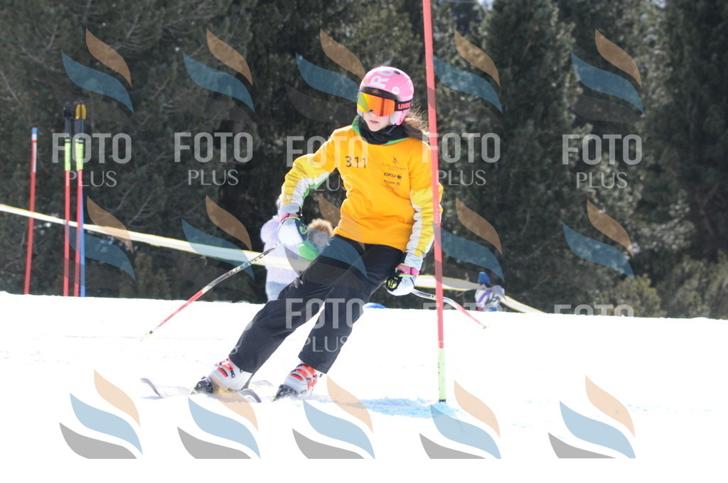 C9186 | holidayphoto