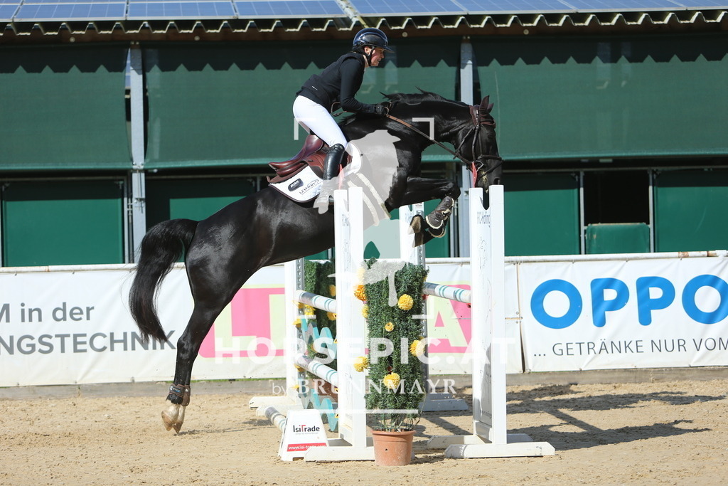 DL2Q1005 | Willkommen bei Brunnmayr - Design & Fotografie – Ihrem Spezialisten für Reitturniere und Pferdeveranstaltungen in Oberösterreich, Salzburg und Bayern! Seit über 17 Jahren sind wir leidenschaftlich dabei.